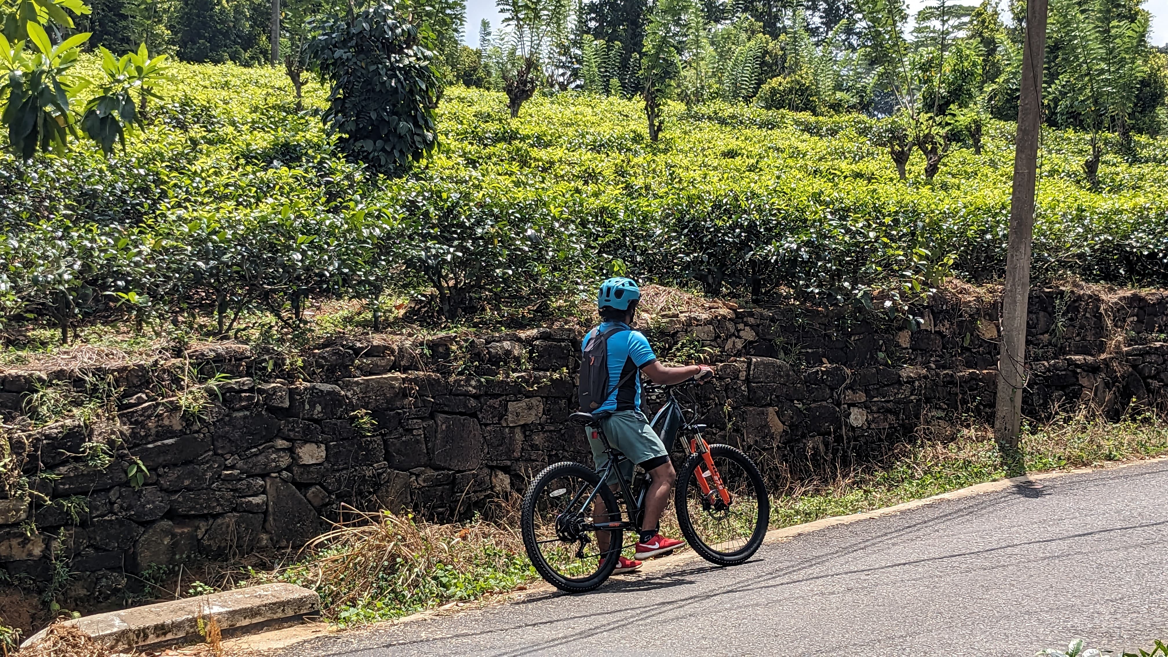 Cycling trail in Sri Lanka - c10